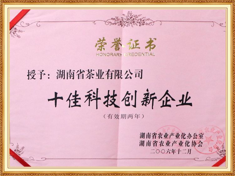 十佳科技創(chuàng  )新企業(yè)