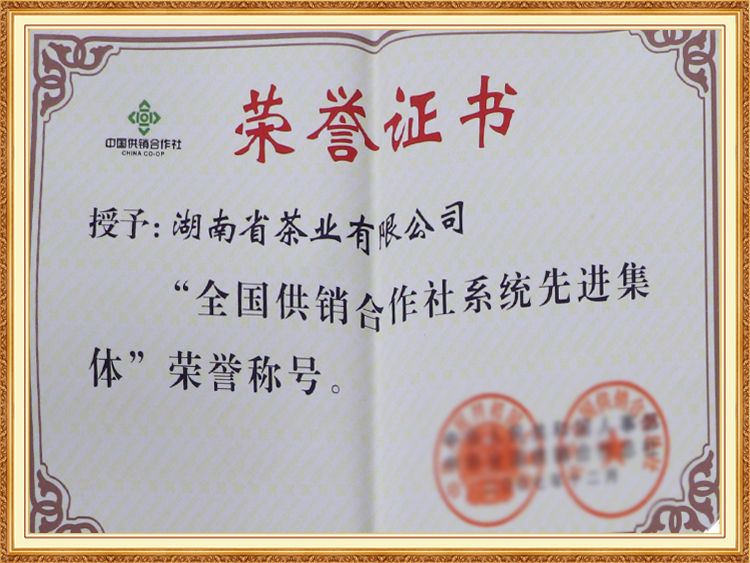 全國供銷(xiāo)合作社系統先進(jìn)集體