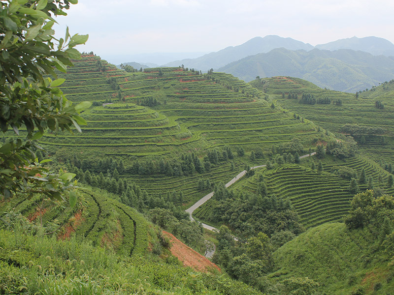 沅陵會(huì )同示范基地