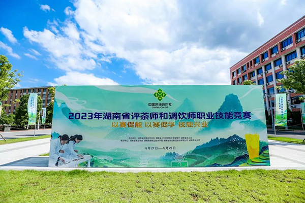 2023年湖南省評茶師和調飲師職業(yè)技能競賽圓滿(mǎn)閉幕 省茶業(yè)集團喜獲佳績(jì)