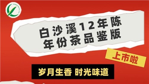 歲月生香 時(shí)光味道丨集團白沙溪12年陳年份茶品鑒版上市