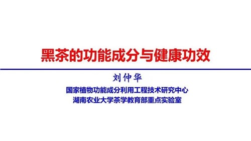 茶的功能成分與健康功效 | 茶、飲茶與健康