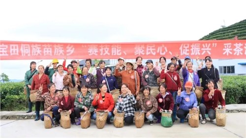 會(huì )同寶田侗族苗族鄉在集團瀟湘茶業(yè)會(huì )同寶田有機茶基地開(kāi)展采茶培訓