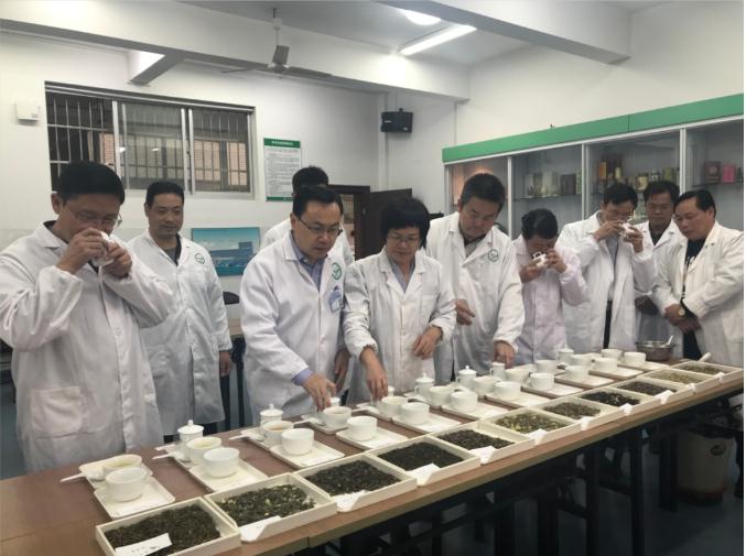瀟湘茶業(yè)開(kāi)展花茶審評和座談會(huì )，劉仲華院士等專(zhuān)家共謀花茶產(chǎn)業(yè)發(fā)展