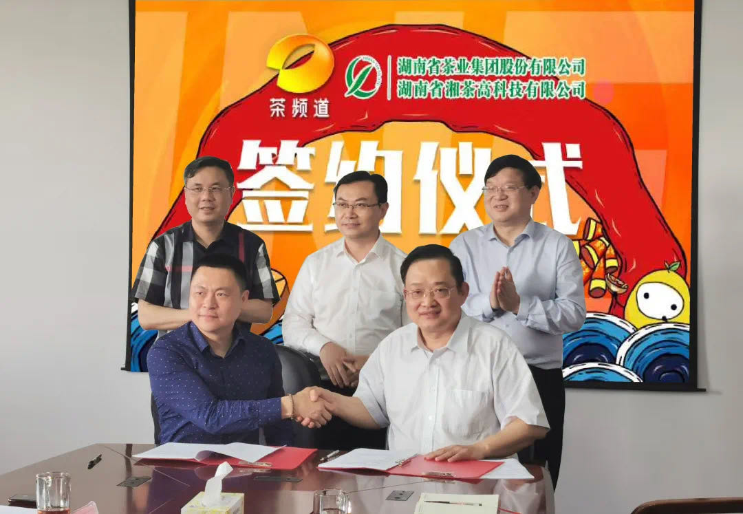 院士見(jiàn)證，輕輕茶發(fā)力品牌建設，與茶頻道達成深度合作