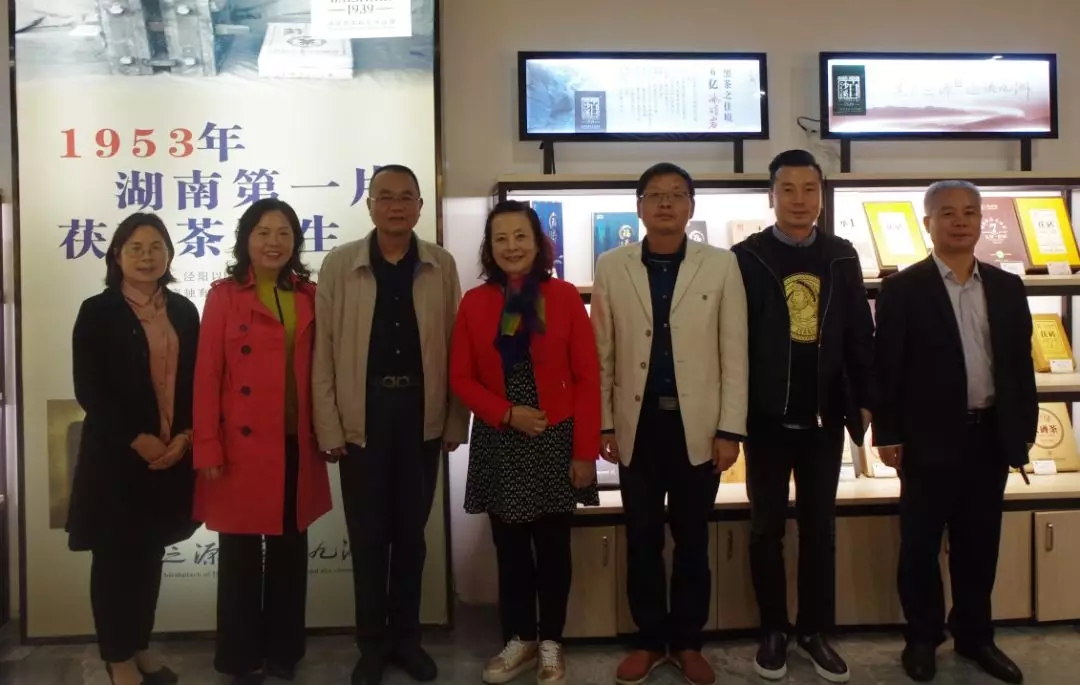 奧地利湖南人聯(lián)合總會(huì )領(lǐng)導探秘白沙溪