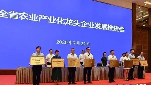 公司榮獲湖南農業(yè)優(yōu)勢特色產(chǎn)業(yè)30強企業(yè)