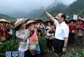 溫家寶總理深入湘西調研 慰問(wèn)茶農