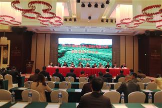 2019年公司茶葉基地工作會(huì )議成功召開(kāi)