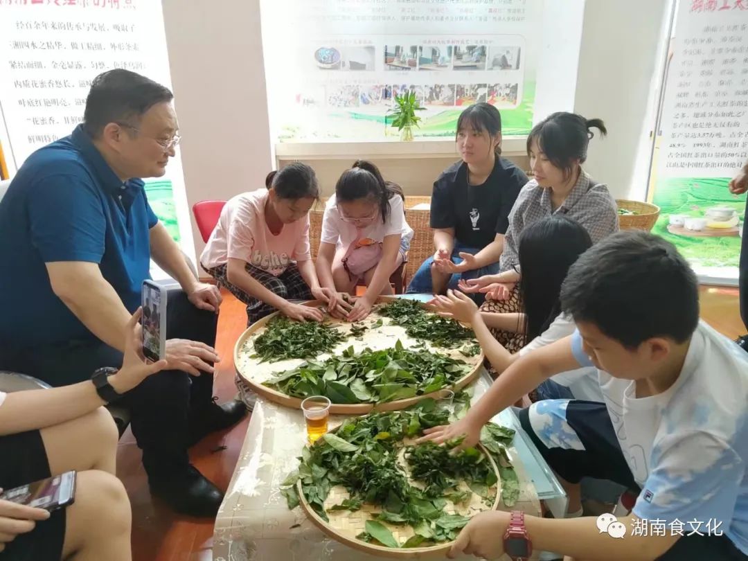 原載人民日報“人民視點(diǎn)”茶葉是怎樣做出來(lái)的？湖南大、中、小學(xué)生體驗湖南工夫紅茶制作